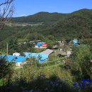 동화당구장 이미지