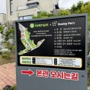 둘리애견 | 평택애견카페,평택애견운동장- 둘리펫츠 방문 후기