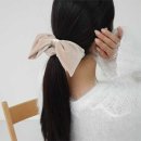H1646 이미지