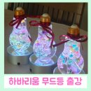 나만의 토탈공예 소품만들기 | 플라워 하바리움 무드등만들기: 어르신 마음밝히기 복지관 공예출강수업