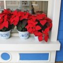 분당구청 앞 문화의 거리 이미지