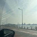 더베이먼트 레지던스 | 부산 남포동 베이먼트 레지던스(패밀리 럭셔리룸/숙소 위치/주차/예약/아이랑 온돌룸)