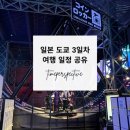 도쿄 조이폴리스 내돈내산 솔직후기, 오다이바 지하철 패스 가격