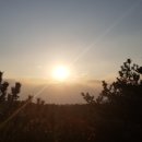 생이소리 이미지