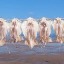 목화휴게소 이미지