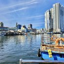 영순수산 이미지