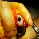 군포굿닥터동물병원 이미지