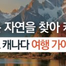 오스푸드 이미지