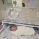 인정병원 | 인정병원 자연분만 출산 (초산 후기)