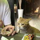 협재마당 이미지