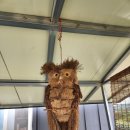 해물고사리짬뽕 | [경남 하동]🌿 하동 북천 고사리 해물짬뽕 — 짬뽕·간짜장·짬뽕밥솔직 후기 🍜