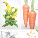 보태니컬 아트 전문가 이미지