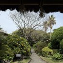 105 | [제주도 중문] 씨에스 호텔앤리조트 스위트룸(105호) 후기와 야외 웨딩 👰🏻‍♀️