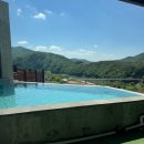 브렌따노 이미지