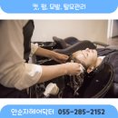 안순자헤어닥터