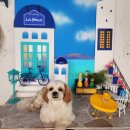 모래알 애견동반 온수풀펜션 | [공지] [애견동반 온수풀 펜션 추천] 설날 해외 대신 ‘스페인마을’로? 가평 스페인마을 라스블랑카스...