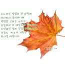 감자바위 이미지