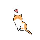 폴캐터리 이미지