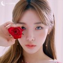 청하체육관 이미지