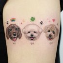 pet for you 이미지