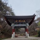 백석농협경제사업소 | 서산 봄꽃 여행