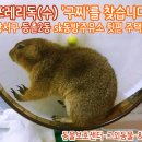 동방주유소 이미지