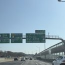 앵무새 | 모란앵무새 분양 후기 | 2개월 아기 모란앵무새 입양스토리 (크림&amp;소다)