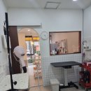 몽비쥬 펫살롱 이미지