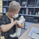 진심어린펫살롱