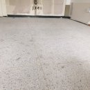 서울애견 미용실 이미지