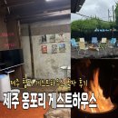 협재 옹포리 게스트하우스 | [제주]한림 협재 감성 게스트하우스 1인실 내돈내산 후기/제주 협재옹포리게스트하우스