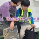 북수로25번길 이미지