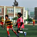 이리동초등학교 이미지