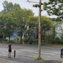 중앙공원한식뷔페 이미지