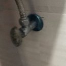 월등우체국 화장실 이미지