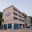 골든앵커 이미지