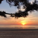 이마트24태안청포대점 이미지