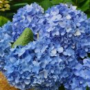 THE채움공인중개사사무소 이미지