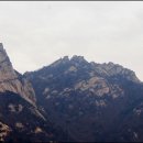 산에사네 이미지