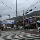 산청시장 | 통영중앙시장회포장 가능한 산청활어 방문후기