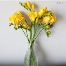 라무진 파주문산점 이미지