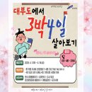소나무언덕4호 | 💥 안산 대부도에서 3박 4일 살아보기! 자연 속 힐링 여행 완벽 가이드-숙소,맛집까지 완벽 가이드
