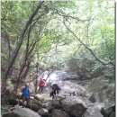 봉덕초등학교 이미지