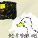 오리날다 이미지