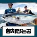 꿈에참치