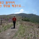 천성산 이미지