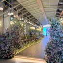 [인천웨딩홀] 부평웨딩홀 "빌라드마리" 인천하우스웨딩 투어 후기♥️