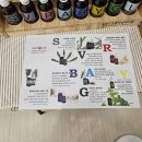 피부정원 이미지