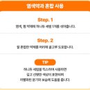 다노 | 아랄라뷰티 보고 구매한 헤어 제품 다노클리닉 제품 사용 후기