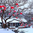 서정적인 이미지